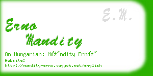 erno mandity business card